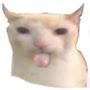 @THE-CHEESE.