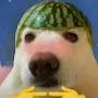 @waltin6232