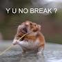 @Bourgit