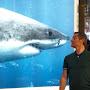 @lionelShark