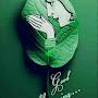 @kayambuduraiarasu5655