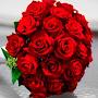 @user-bv3ns5jn8z