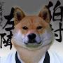 @DogeSargeant