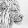@lionmainman154