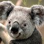 @craigemmott4976