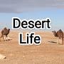 @urDesert-life