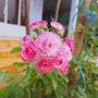 @uyennhi3583