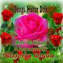 @halilarduc449