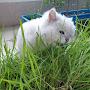 @사랑해건뭉이