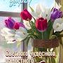 @Мира-ш9у