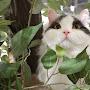 @mullucat5957
