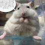 @몰라-e2s