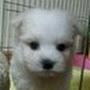 @곡성-t8f