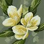 @hareemmustafa6357