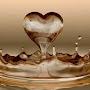 @mshmshashosho7587