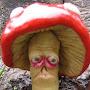 @OldMushroom