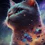 @Cr4zy-cats