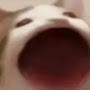 @팝켓의게임일상