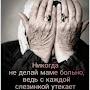 @alimagamedov8077