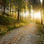 @sunsetwalks488
