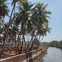 @bhagyashreeghadi3770