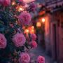 @Catherine-c7n6h