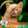 @ar.skysathi6953