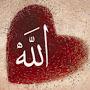 @fatimafatima1565