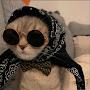 @MeowMeow-v27