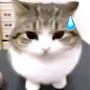 @lherq.