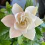 @lynnjames6629