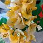 @natureallseasons