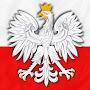 @polish3301