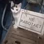 @Ваш_говнорез_обосрал_я_газ_ЪУЪ