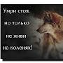 @СардорИсмаилов-ц9л