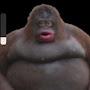 @John-cu9qm