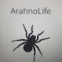 @ArachnoLifesklep