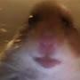 @əöü