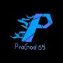 @ProGod65Official