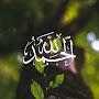 @alaamassaee8987