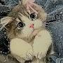 @Lee__kn0ws_1_thing