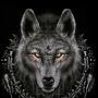 @BlackWolfql2du