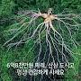 @장영식-w2p