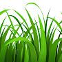 @lawn2learn