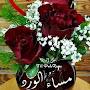 @اسراءملك-ي5ق