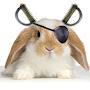 @rabbitpirate