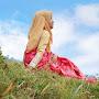 @morjinaaktar658