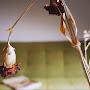 @yudi_patisserie651