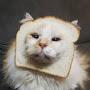 @LoafOfBreadCat