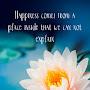 @huda3471